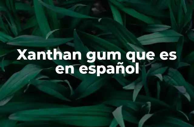 Xanthan Gum que es en Español