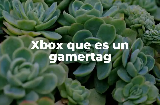 Xbox que es un Gamertag 2 La importancia del gamertag en la comunidad Xbox