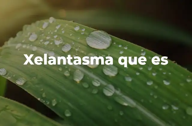 Xelantasma que es