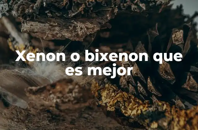 Xenon o Bixenon que es Mejor