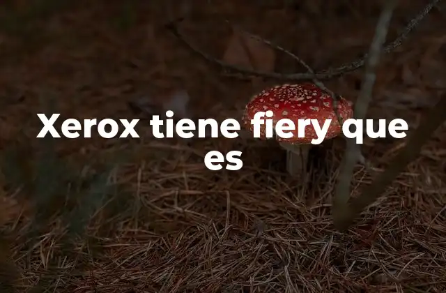 Xerox Tiene Fiery que es