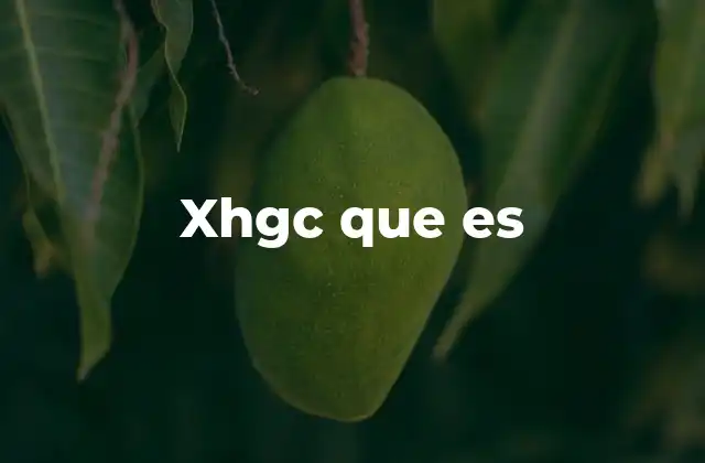 Xhgc que es 2 xhgc en el contexto digital