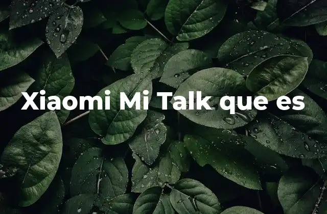 Xiaomi Mi Talk que es