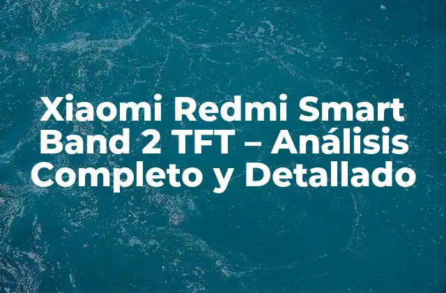 Xiaomi Redmi Smart Band 2 Tft – Análisis Completo y Detallado