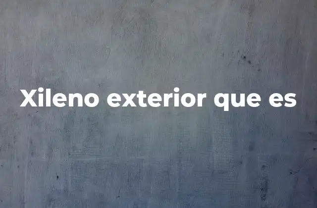 Xileno Exterior que es