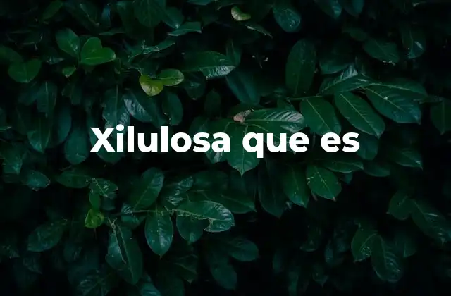 La xilulosa en la industria alimentaria