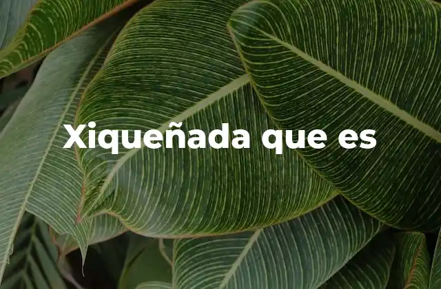 El uso de xiqueñada en el lenguaje cotidiano