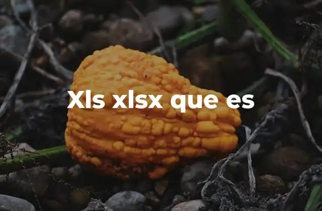 Xls Xlsx que es