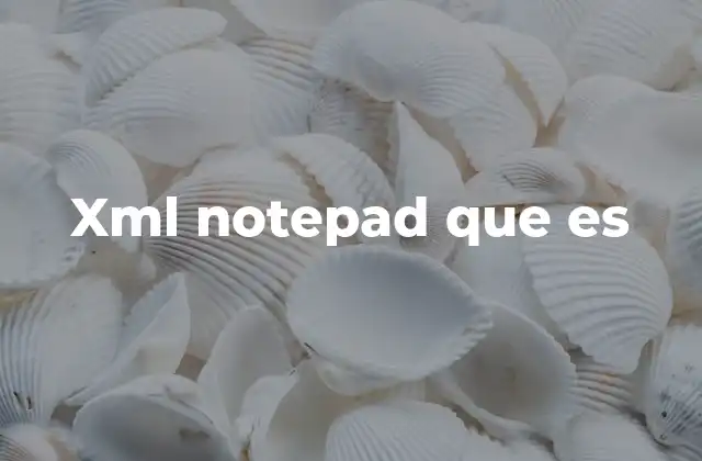 Xml Notepad que es