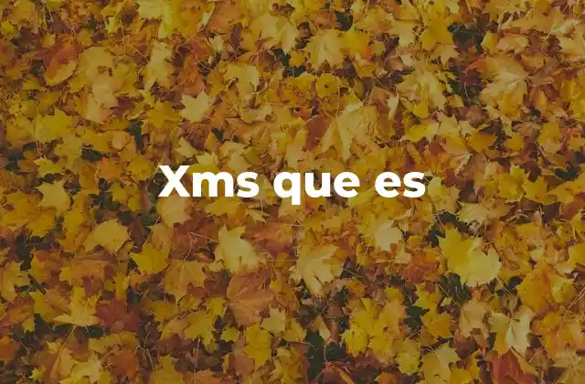 Xms que es
