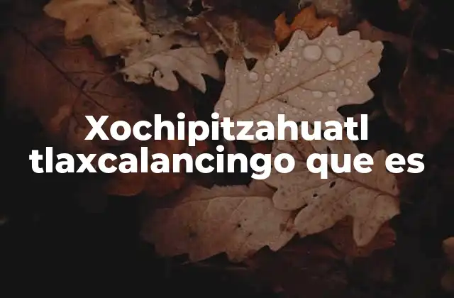 Xochipitzahuatl Tlaxcalancingo que es