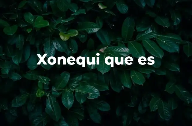 Xonequi que es