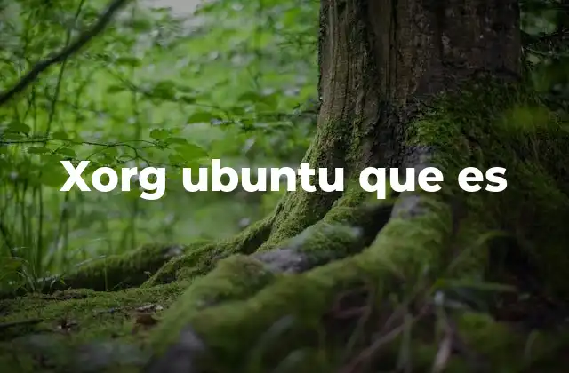 Xorg Ubuntu que es