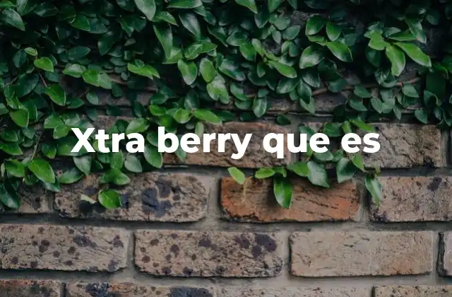 Xtra Berry que es