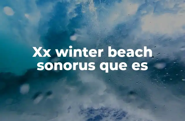 Xx Winter Beach Sonorus que es 2 El impacto sonoro en el mundo de los videojuegos