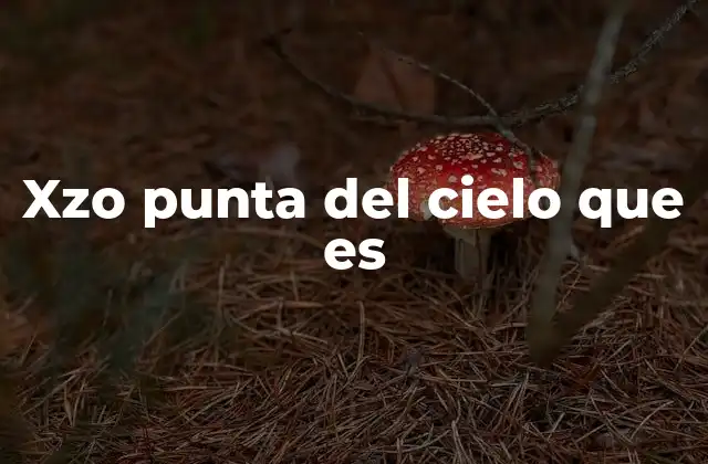 Xzo Punta Del Cielo que es