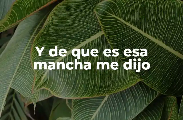 Y de que es Esa Mancha Me Dijo