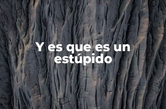 Y es que es un Estúpido 2 El impacto emocional y social de este tipo de expresiones