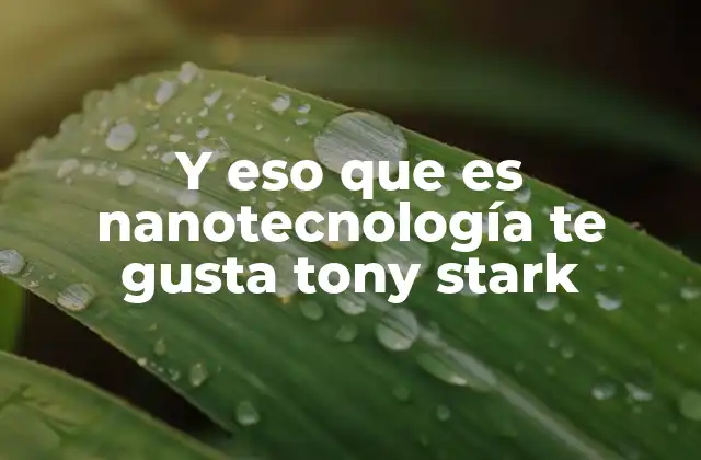 Y Eso que es Nanotecnología Te Gusta Tony Stark