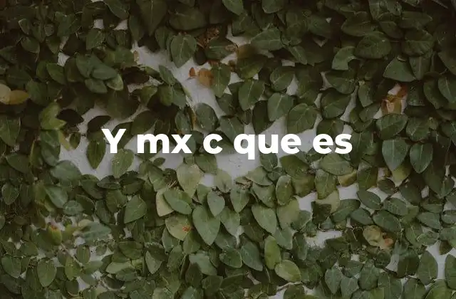 Y Mx C que es
