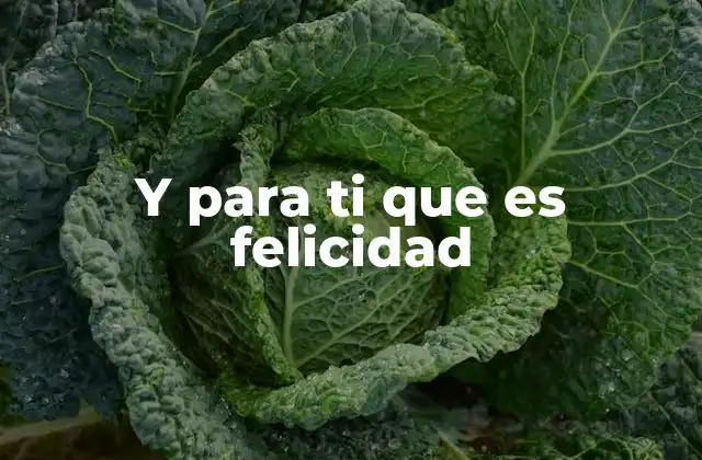 Y para Ti que es Felicidad 2 El concepto de bienestar emocional