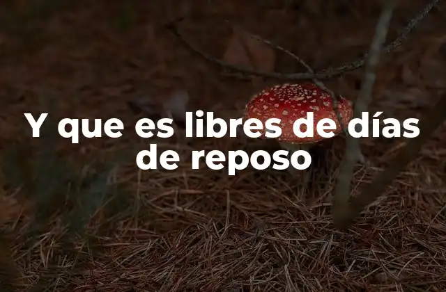 Y que es Libres de Días de Reposo