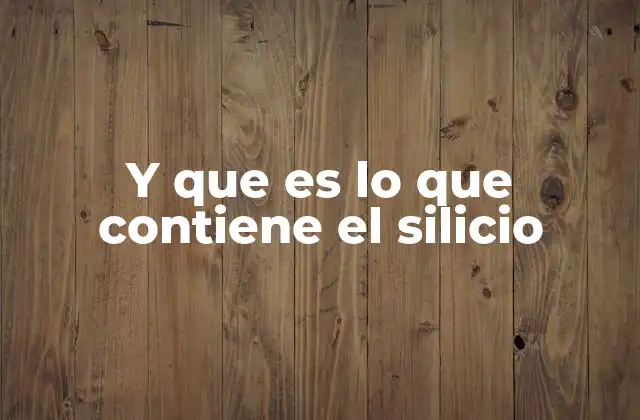 Y que es Lo que Contiene el Silicio