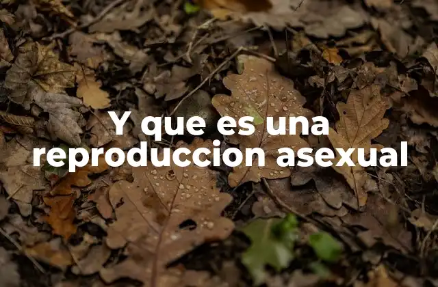 Y que es una Reproduccion Asexual