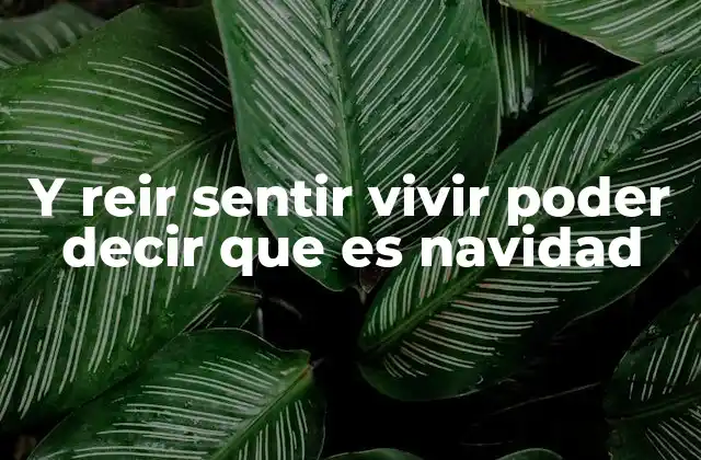 Y Reir Sentir Vivir Poder Decir que es Navidad