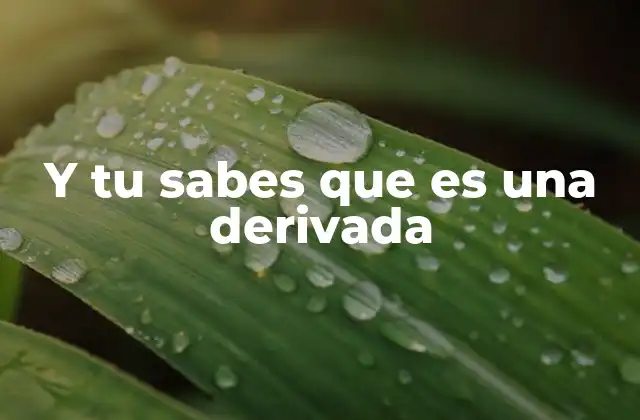 Y Tu Sabes que es una Derivada