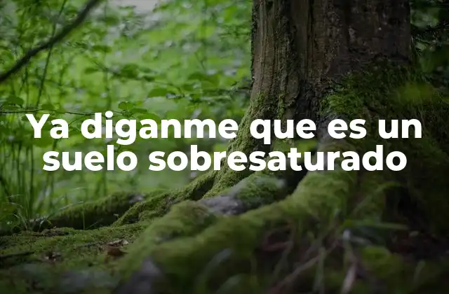 Ya Diganme que es un Suelo Sobresaturado