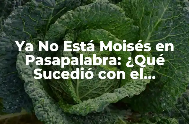 La Carrera de Moisés en Pasapalabra