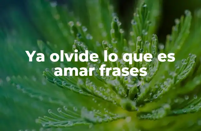 Ya Olvide Lo que es Amar Frases
