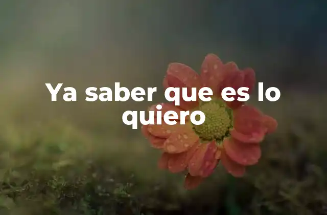 Ya Saber que es Lo Quiero