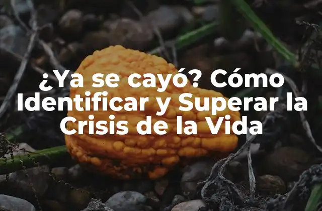 ¿ya Se Cayó? Cómo Identificar y Superar la Crisis de la Vida 2 ¿Qué es la Crisis de la Vida?