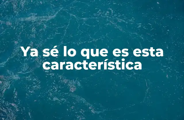 Ya Sé Lo que es Esta Característica