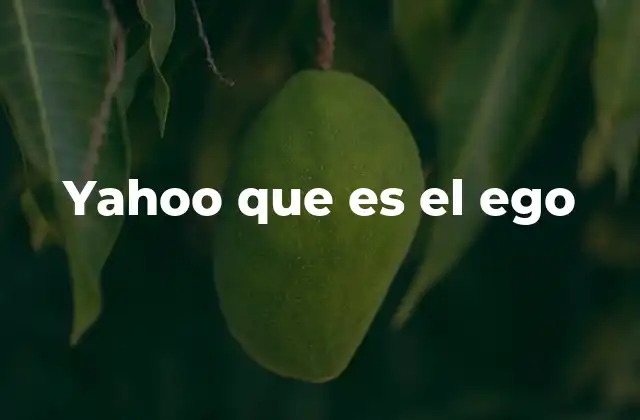 Yahoo que es el Ego