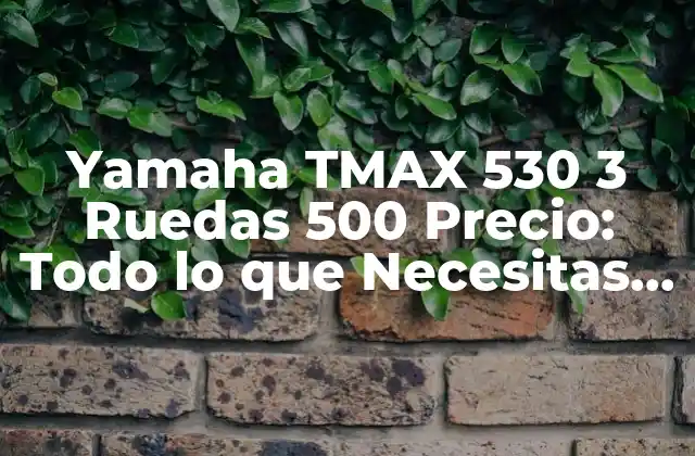 Yamaha Tmax 530 3 Ruedas 500 Precio: Todo Lo que Necesitas Saber