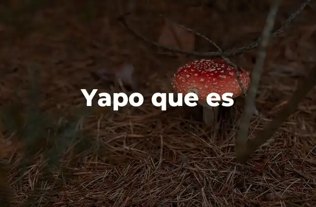 Yapo que es