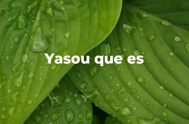 Yasou que es