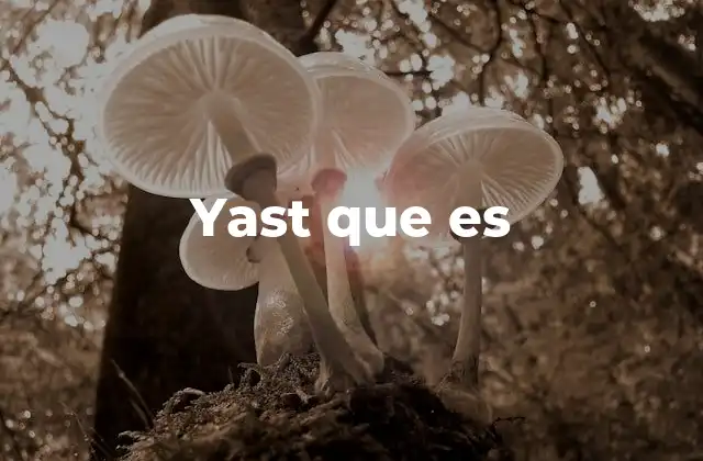 Yast que es