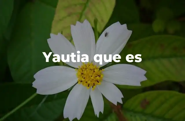Yautia que es