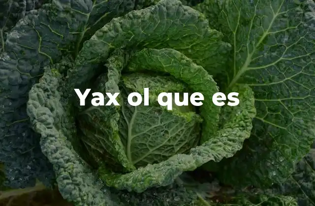Yax Ol que es