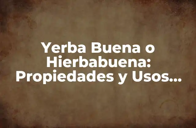 Yerba Buena o Hierbabuena: Propiedades y Usos Médicos