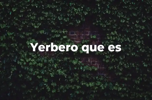 Yerbero que es