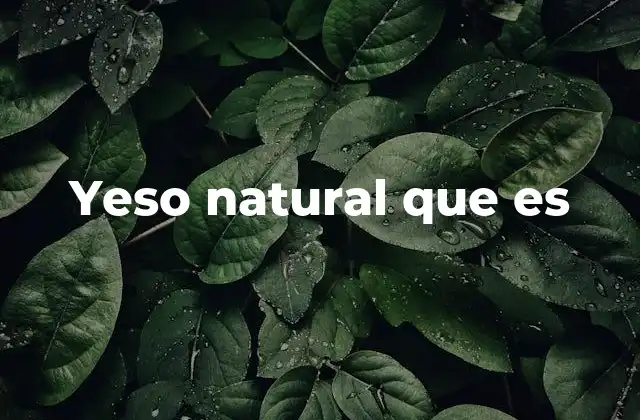 Yeso Natural que es