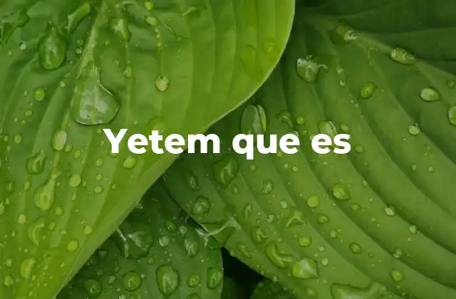 Yetem que es