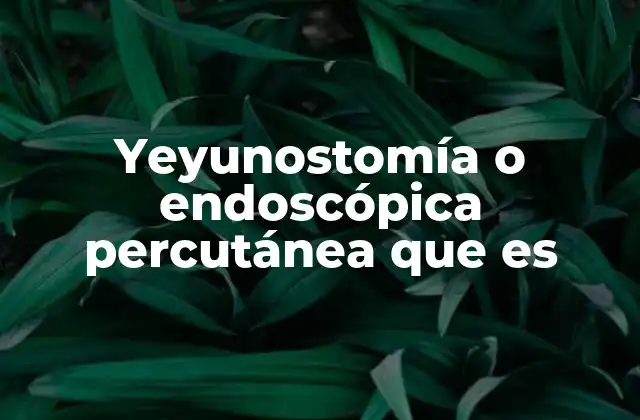 Yeyunostomía o Endoscópica Percutánea que es