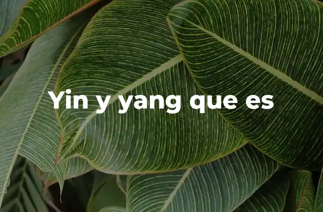 Yin y Yang que es 2 La dualidad en la naturaleza y la vida humana