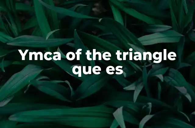 Ymca Of The Triangle que es